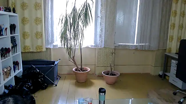 chillimonia Chat XXX live