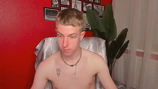 Show webcam de Dylan_Norton