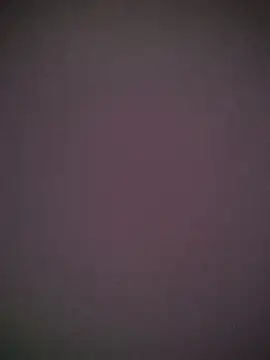 Snezhana Live XXX Chat