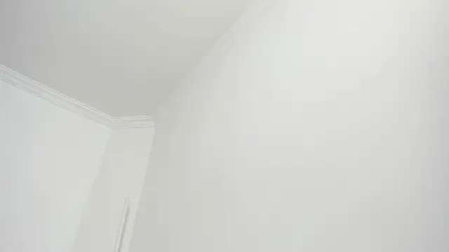 canelleGarces Adlı Modelin Canlı XXX Sohbeti