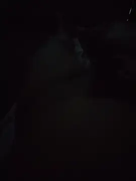 nothycouple 网络视讯表演