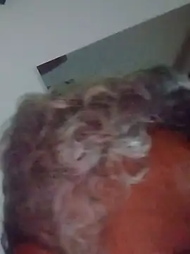 Webkamerová show mature55