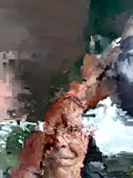 Show Webcam de truckdawg2023