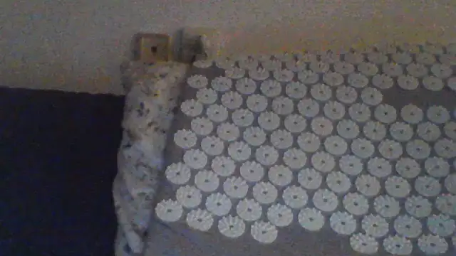 KaelNox live XXX chat
