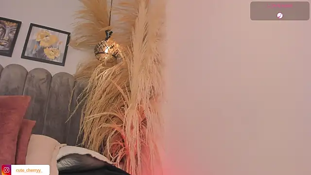 Chat +18 de cute__cherry_ ao vivo
