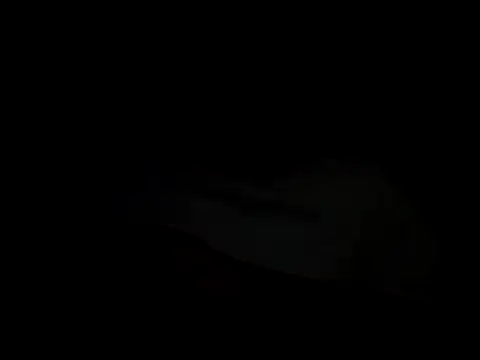Živý XXX chat tonkisa
