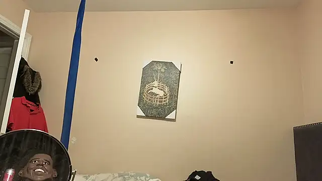 hailzeffn's Webcam Show