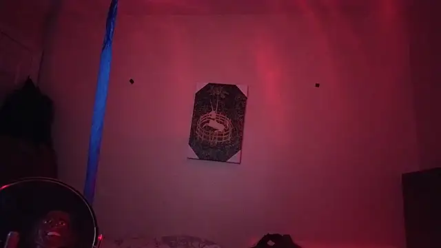 hailzeffn 웹캠 쇼