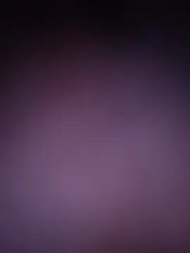 Jastylor Live XXX-chat