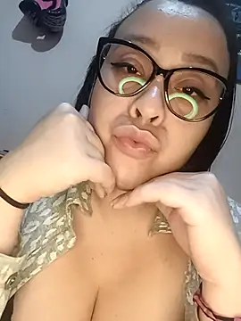 lualviz Show Webcam