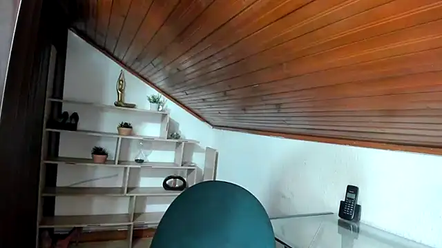 Živý XXX chat LinaBrowm