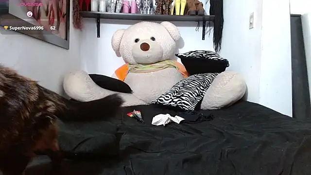 talianha 라이브 XXX 채팅