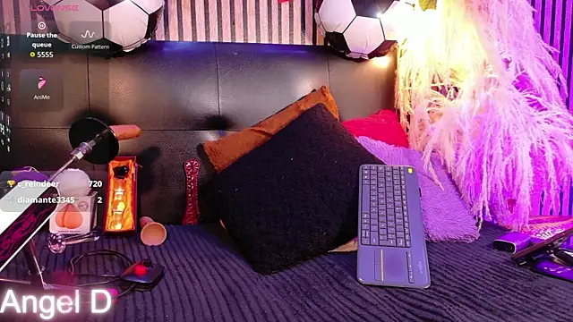 Show webcam de Angeldust19