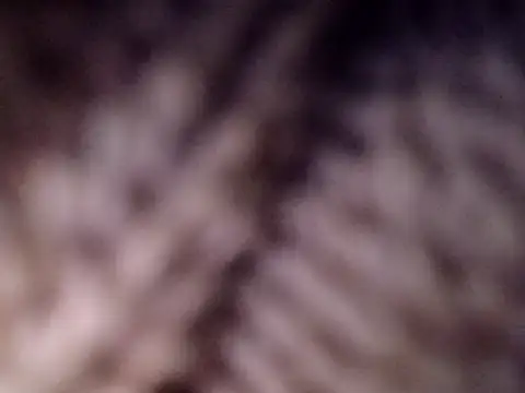 Chat +18 de givr6inches ao vivo