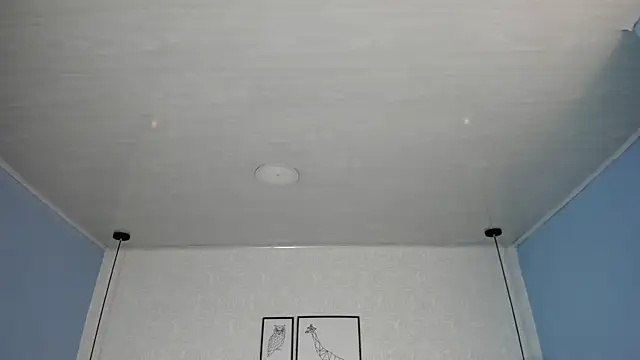 ninna_curly 라이브 XXX 채팅