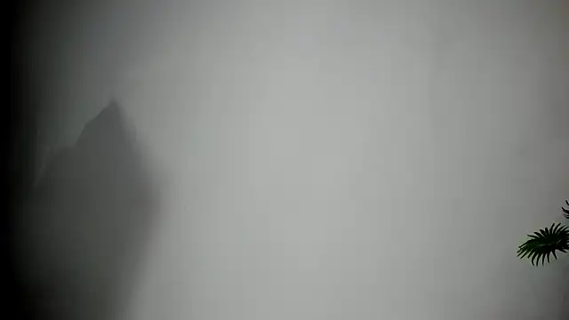 Chat +18 de Salomon_koude ao vivo