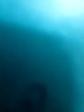 Chat XXX en directo de ColosalCock666