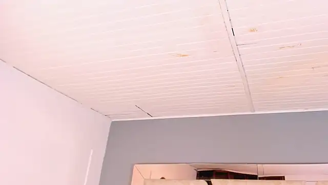 BellaBoobs_ élő XXX-chatje