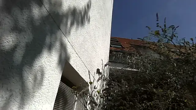 XXX chat uživo modela BiBoy4Al