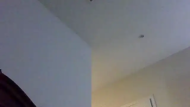 Triggerhappycj100 webcam show