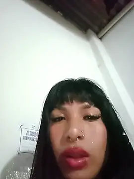 Chat +18 de MeelFox ao vivo