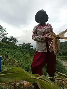 WeaklyMop 现场XXX聊天