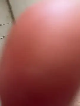 Fitboy1992 লাইভ XXX চ্যাট