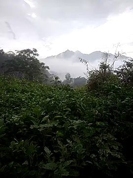 phlin1 现场XXX聊天