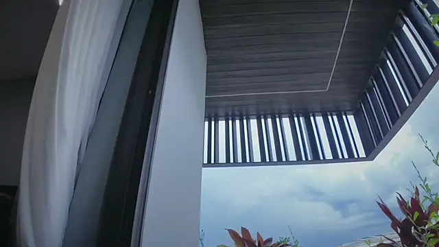 VenomSilk Live XXX-chat