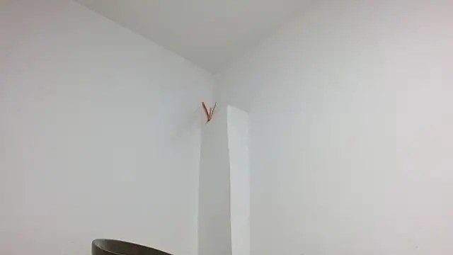 Chat XXX ao vivo de Twinkcock22