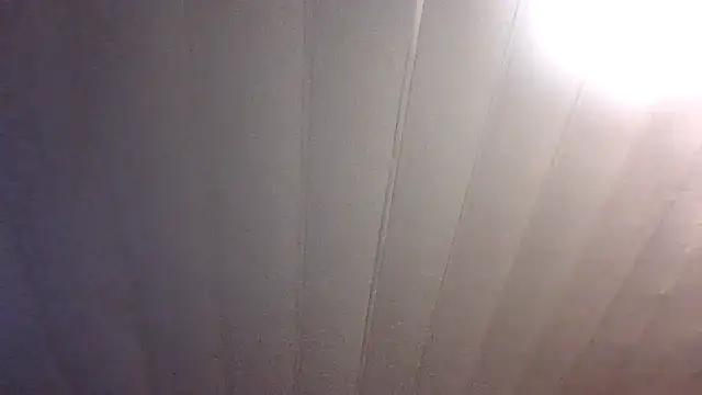 Show webcam de Makethatpussypurr
