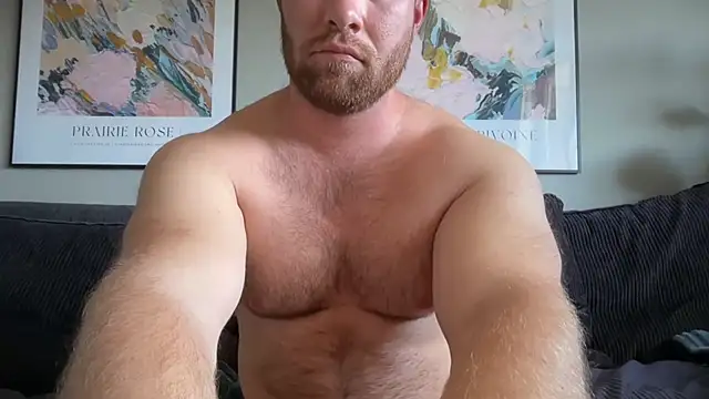 Show webcam de swekingxx