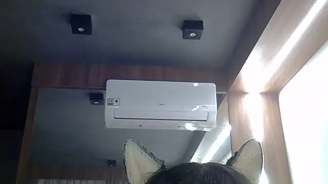 Chat XXX ao vivo de SkinnyKitten