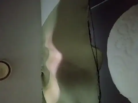 Show Webcam de longerFellow