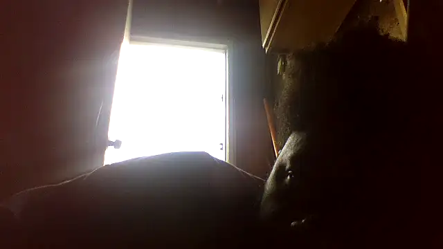 dvaughn3117: вебкам-шоу