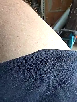 vivodan Webcam Show