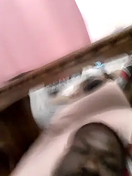 Chat XXX ao vivo de Dahbiggest91