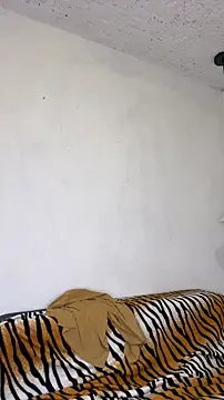 Czat XXX na żywo – Karim_mansur