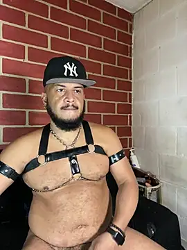 Chat +18 de the_master_foal_ ao vivo