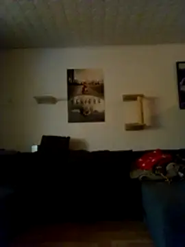 Show Webcam de Codymc89