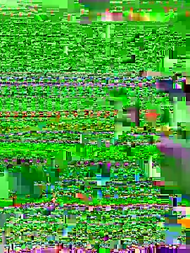 Nutsohardn Webbikameraesitys
