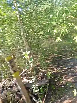 Tangafun – Naživo XXX chat