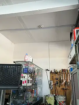Paul22cm-n Live XXX chat