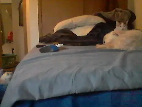 Show webcam de Silencio26
