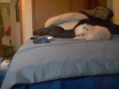 Chat XXX ao vivo de Silencio26