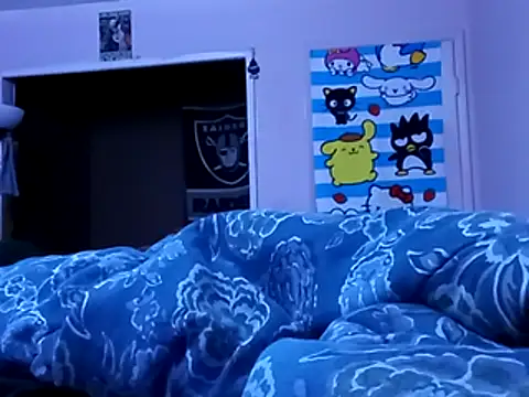 Blkstylionn Webbikameraesitys
