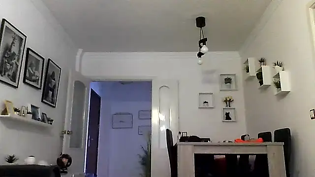 Show webcam de yanick931