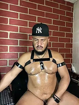 แชท XXX สดของ the_master_foal_