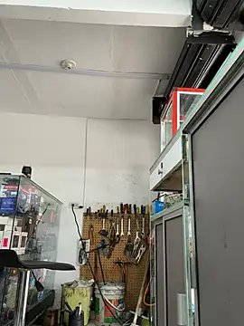 Paul22cm- – Naživo XXX chat