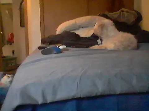 Chat XXX en directo de Silencio26